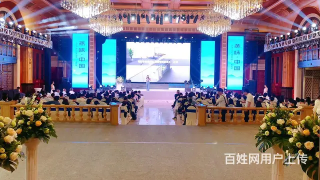 婚庆策划，庆典活动，各类会议会展策划执行 - 图片 3