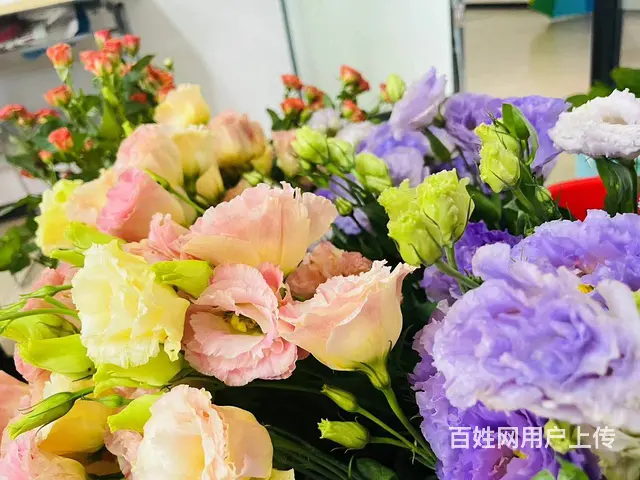 苏州吴中有线下艺术插花花艺培训的 - 图片 1