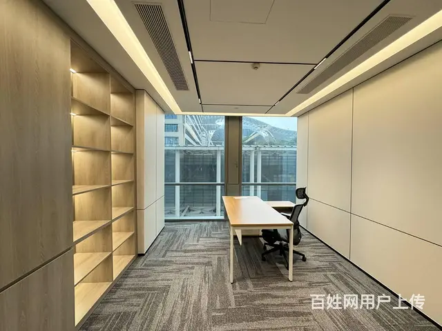 博览中心地铁口 甲级CBD看江 莲花 家具配套高端商办办公楼 - 图片 6