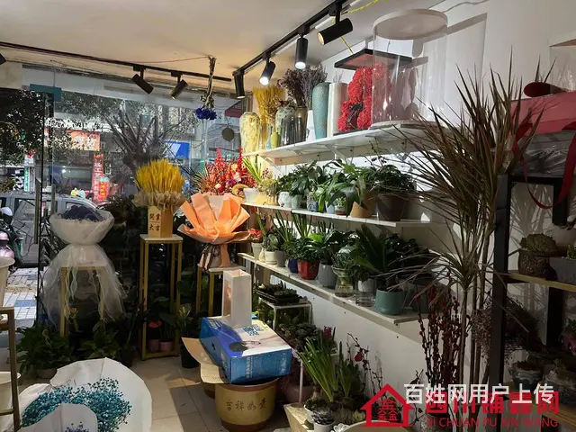 （四川铺鑫网）巴州区丽景天城40㎡鲜花店转让 - 图片 8