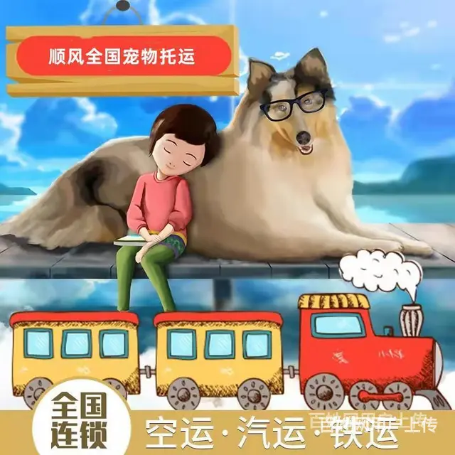 2022盐津县宠物托运（猫狗）邮寄快递运输（宠物活体托运新* - 图片 2