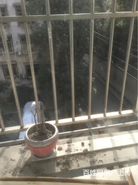 黄州贸易广场商铺出租 - 图片