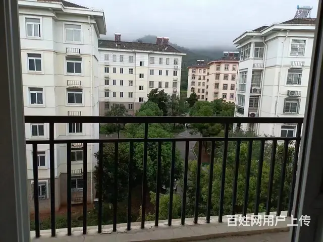 滨湖南苑  120平3室2厅，房主急售41万8 - 图片 8