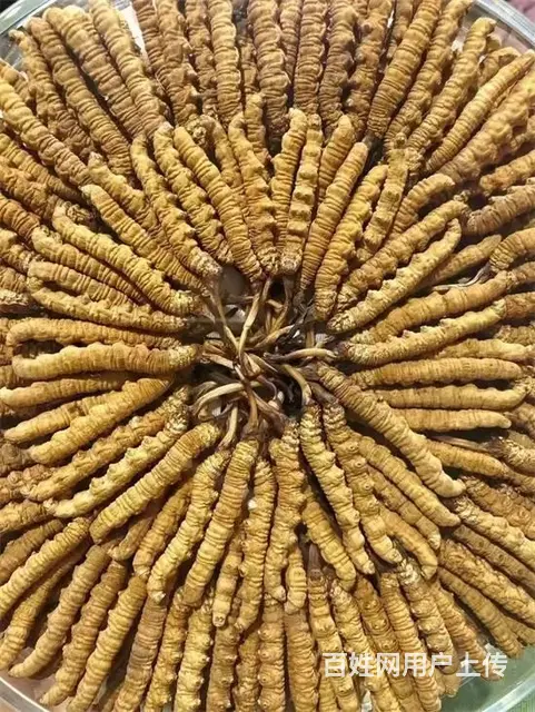 新密现场回收冬虫夏草/回收茅台酒当天实际价格 - 图片 8