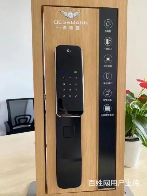 批发各类指纹锁，一手货源，各种款式应有尽有 - 图片 11