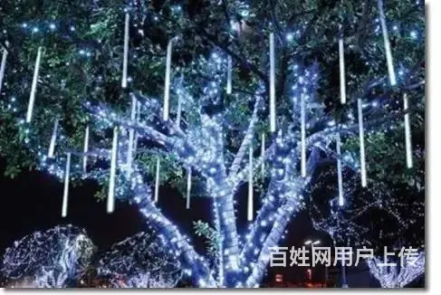绿地夜景亮化，城市楼体亮化工程设计施工 - 图片 6