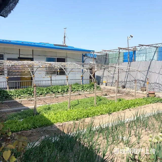 (玖玖)高新区国信国际公馆附近农家院、场地仓库出租 - 图片 2