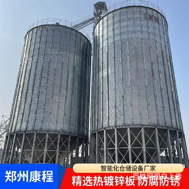 玉米储粮仓-粮仓生产厂家一站式解决方案 - 图片 6