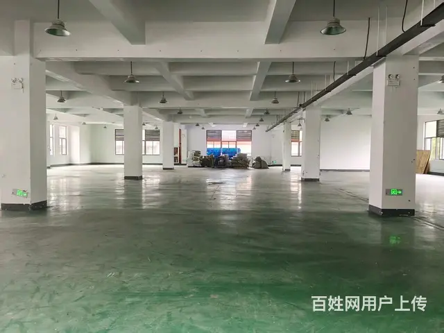 临安锦城街道单层1000方/2000方标准厂房出租 - 图片 5