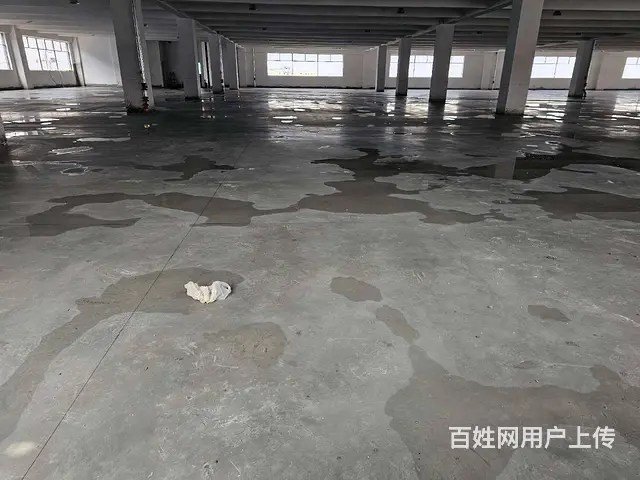 董浜全新厂房1至4层14000平，可分租，高8米，随时可用。 - 图片 7