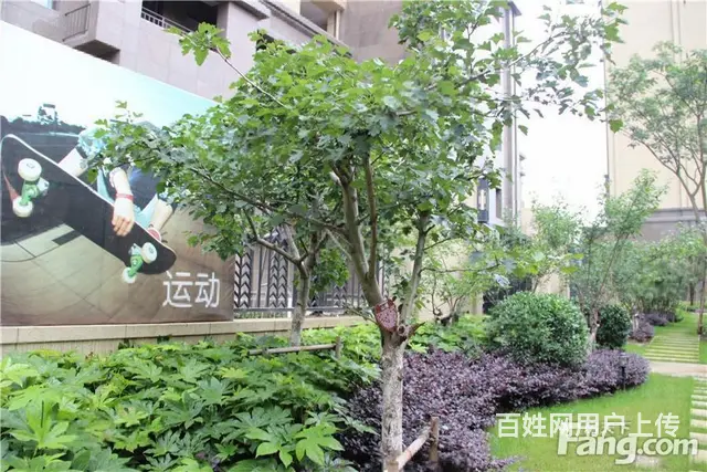 楼层适中，精装修保养好，采光刺眼，居家好户型 - 图片 12