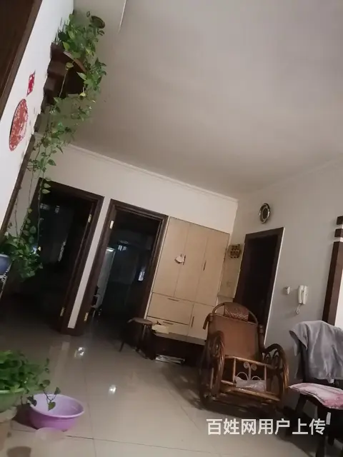  - 图片