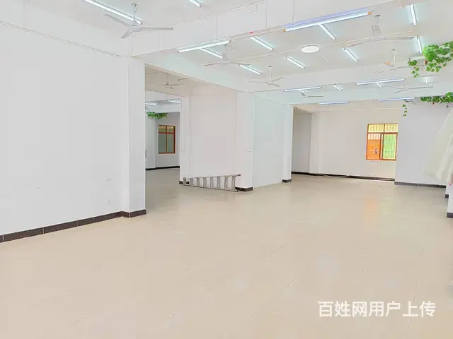 （51旺铺推荐）凤凰路羊栏300平旺铺出租 - 图片 11