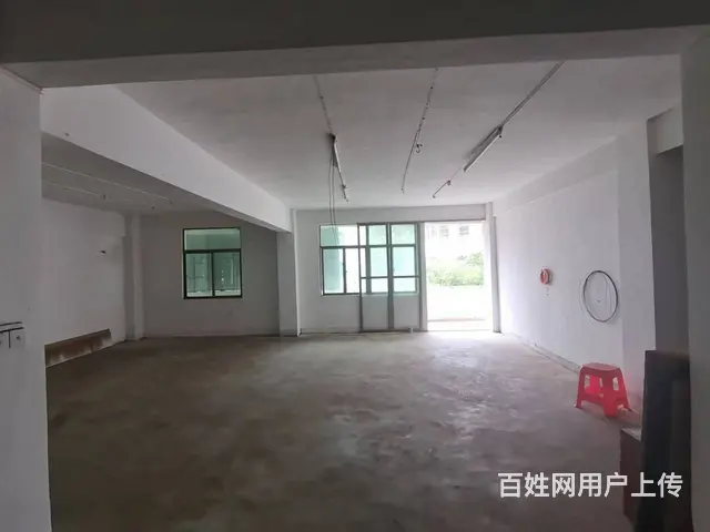 （51旺铺推荐）琼州大道320平铺面招租 - 图片 4
