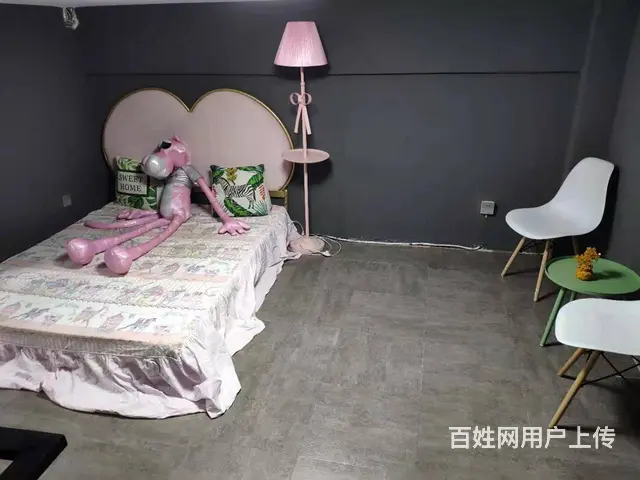 鑫诺民宿，北华北校，loft投影房，日租，短租，月租 - 图片 12