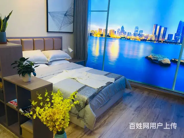 政务南，精装修，小户型，现房！首付十几万 - 图片 4