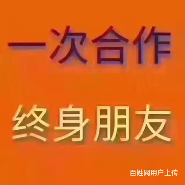 专业代办汽车年检400 - 图片 4