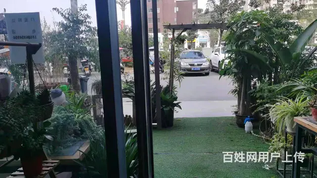 急转！毕节市黔西县莲城金街国医馆楼下55平吻合花艺 - 图片 9