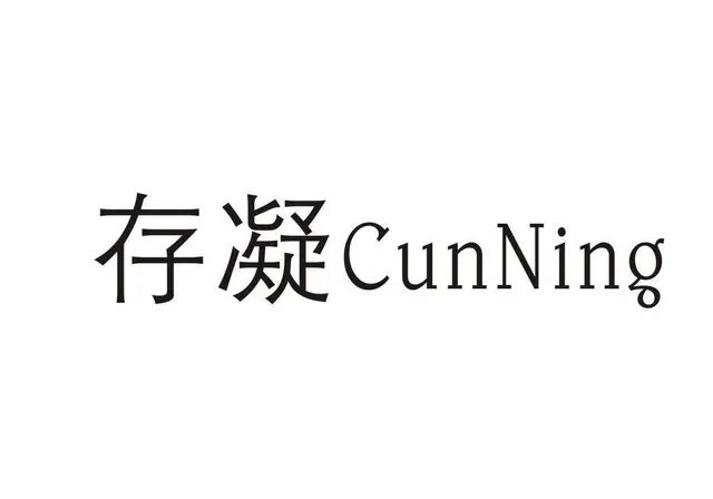 没有公司？没有商标？ 没关系，找普宁尊念公司 - 图片 1