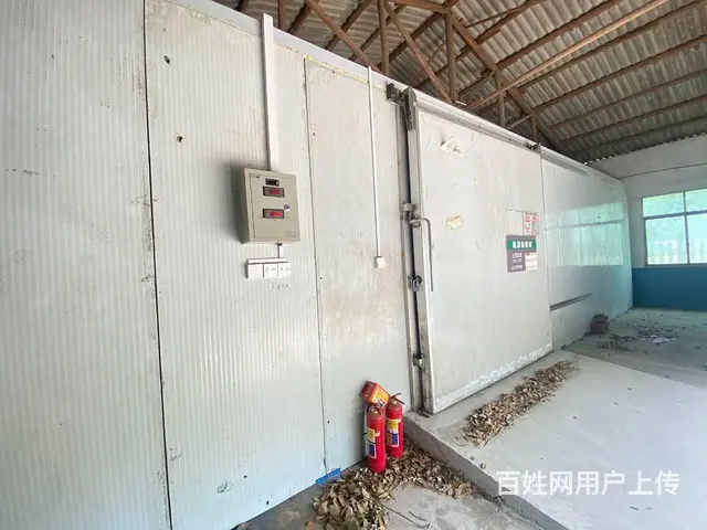 黄桥大道岳麓大道高铁西板块黄金园160一700平冷冻库转让 - 图片 7