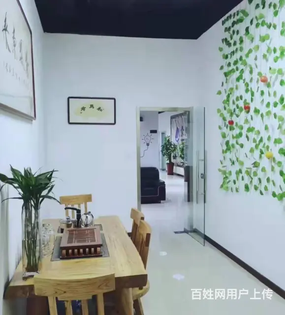 洛阳西工直播间出租，传媒公司办公室直租，无中介费用 - 图片 2