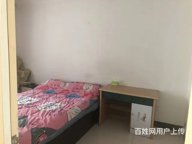 福田五区 普通住宅2厅 中等装修 - 图片 3
