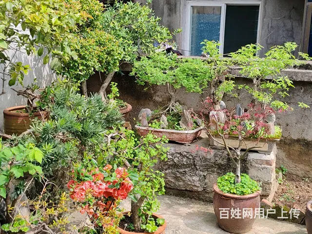 安静小区 - 图片 1