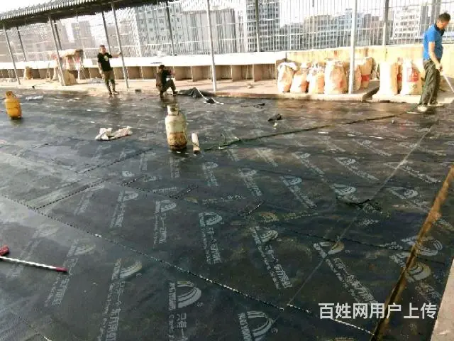 防水材料，水漆油漆，SBS卷材 - 图片 7