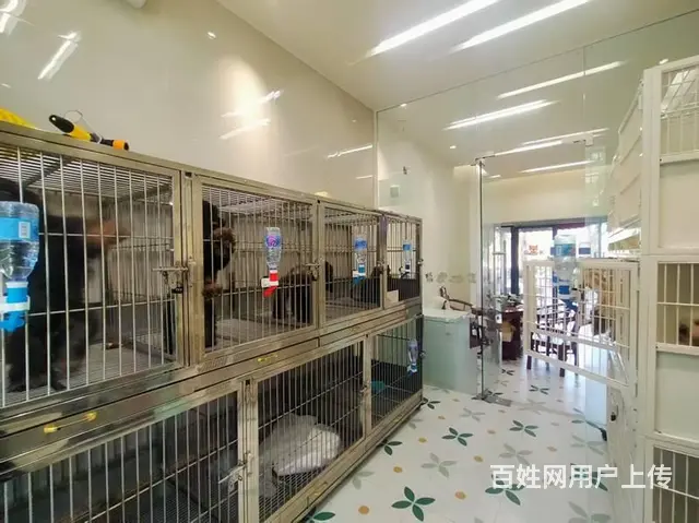 （51旺铺推荐）迎宾路中铁悠岚湖68平宠物店转让 - 图片 3