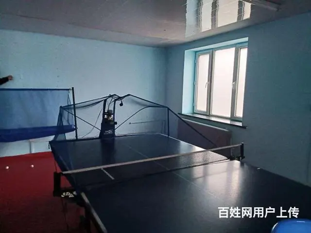 良种站应急局附近商服出租 - 图片 1