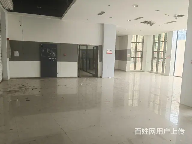 金恒德汽配市场地铁三号线龙桥站双楠大道独栋写字楼出租 - 图片 3