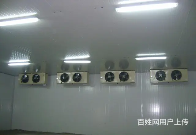湖州水果保鲜库20平方需要多少钱 , 湖州冷冻库多少钱 - 图片 3