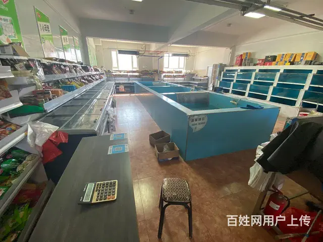 胜利路早市，刘氏活鱼水产店低价转让 - 图片 4