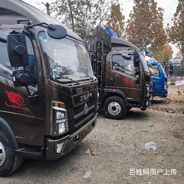 4米2重载轻卡825胎高低速 - 图片 8