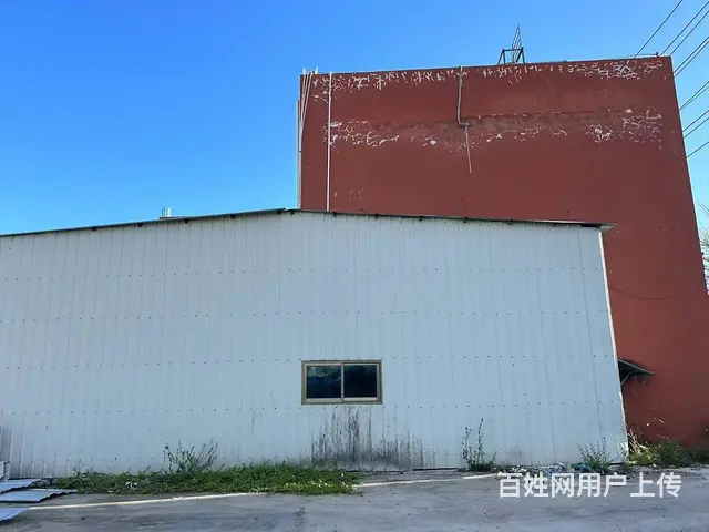 （51旺铺推荐）乐东黄流镇650平整栋出租 - 图片 7