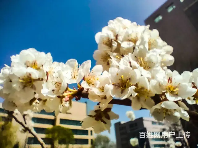 甘肃北方技工学校的铁路类专业正在补录中 - 图片