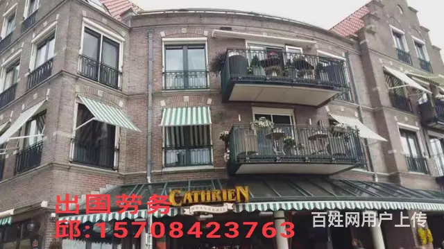 绍兴出国劳务英国农场种植工办理不成功不收费 - 图片 1