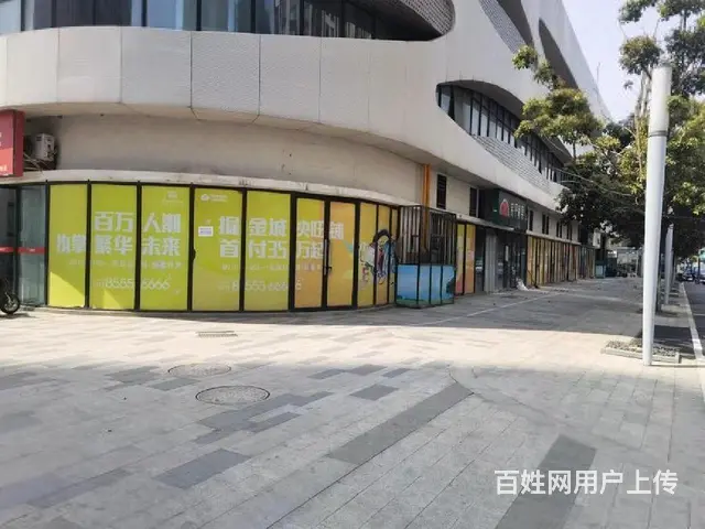 单价9转角商铺 20个车位 市中心送4套一楼商铺 沿街现铺 - 图片 9