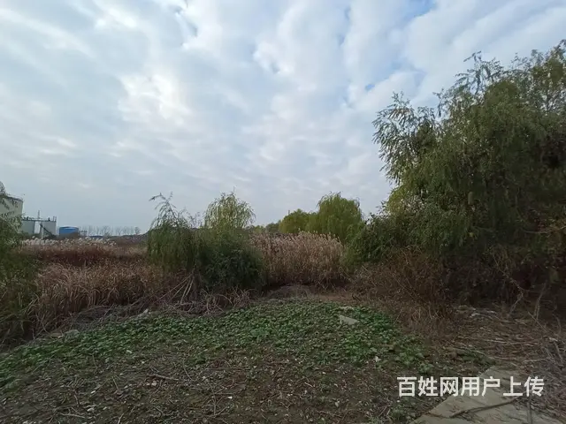 厂房、空地出租，1000平起分租，有运河码头，大型车可通行 - 图片 5