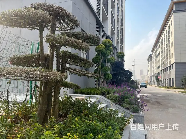 独栋通燃气招快捷酒店 双面采光无暗间 欢迎咨询 - 图片 7