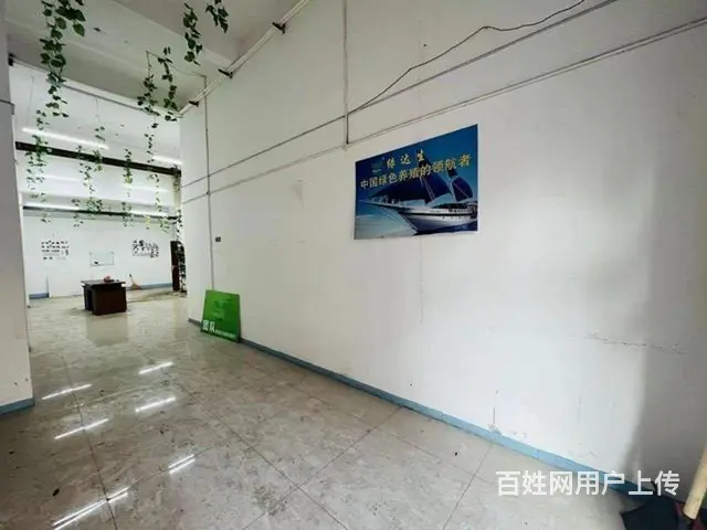 门市出售 - 图片 2