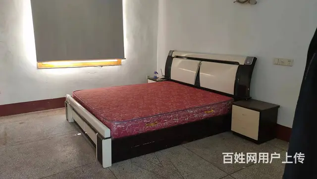 （个人）大托新开铺附近大马路边上厂房仓库出租编号9087 - 图片 8