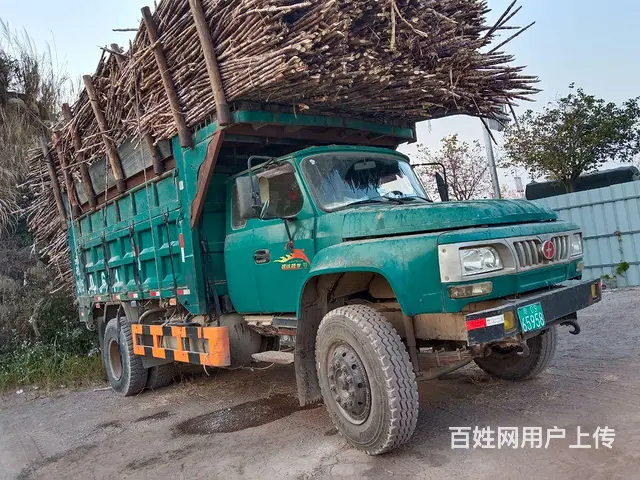 低价急转福达福龙 - 图片 6