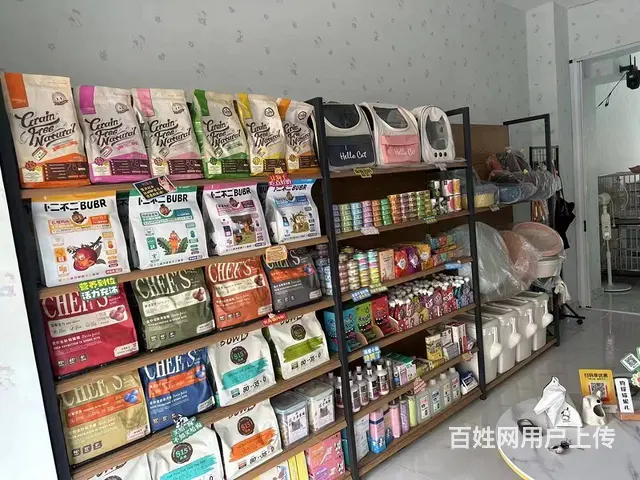 道里宠物店出兑 宠物用品商铺转让 - 图片 2
