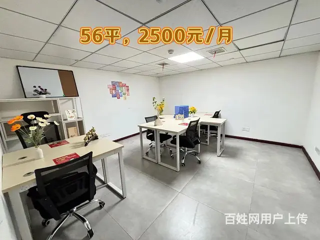 双11特价出租，送免租期，来电立减500，50平2千可拿下 - 图片 1