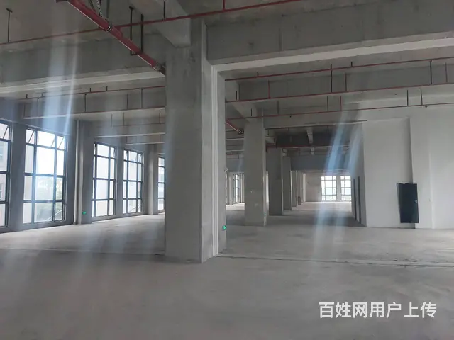 全新花园式园区厂房高新项目招商 - 图片 3