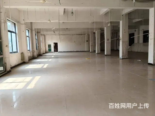 萧山新塘街道新螺路400/800/1000方厂房出租 - 图片 4
