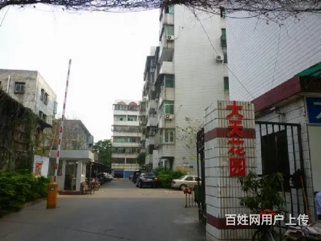 国兴商圈      大天花园3房楼梯房 - 图片 10
