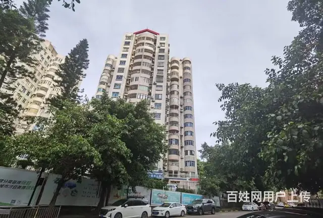 重点推荐 海湾花园一期 环境 优雅 精装3房 拎包入住 - 图片 12