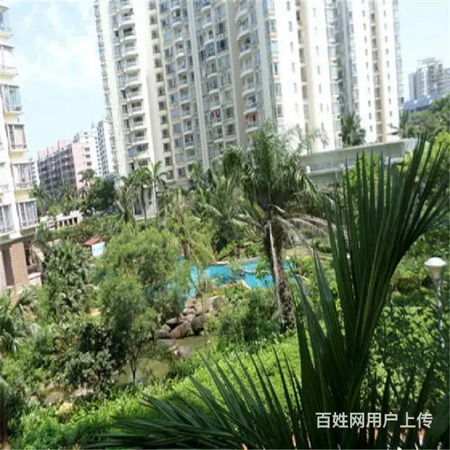 龙昆南大润发相伴    耀江花园3房 毛坯房 - 图片 12